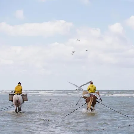 Apartment By Sea And Dunes With Terrace