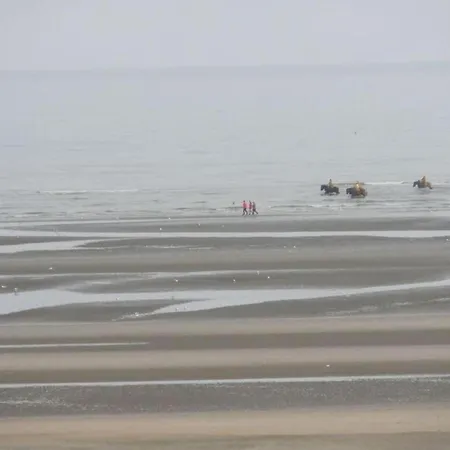 By Sea And Dunes With Terrace *