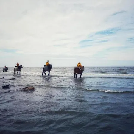 By Sea And Dunes With Terrace * Oostduinkerke