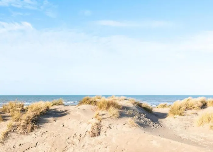 Apartment By Sea And Dunes With Terrace
