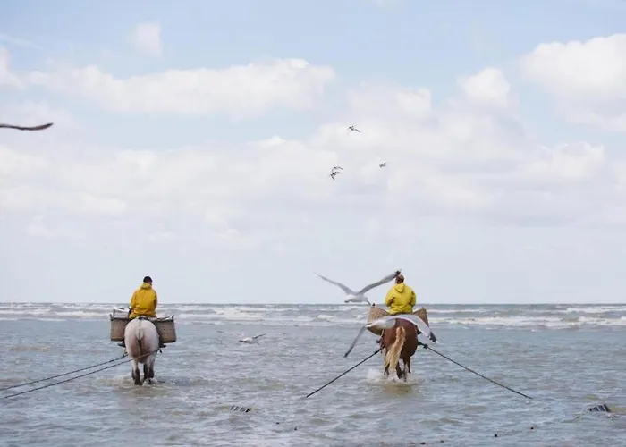 Apartment By Sea And Dunes With Terrace