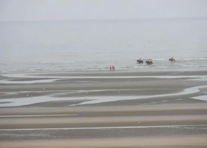 By Sea And Dunes With Terrace *