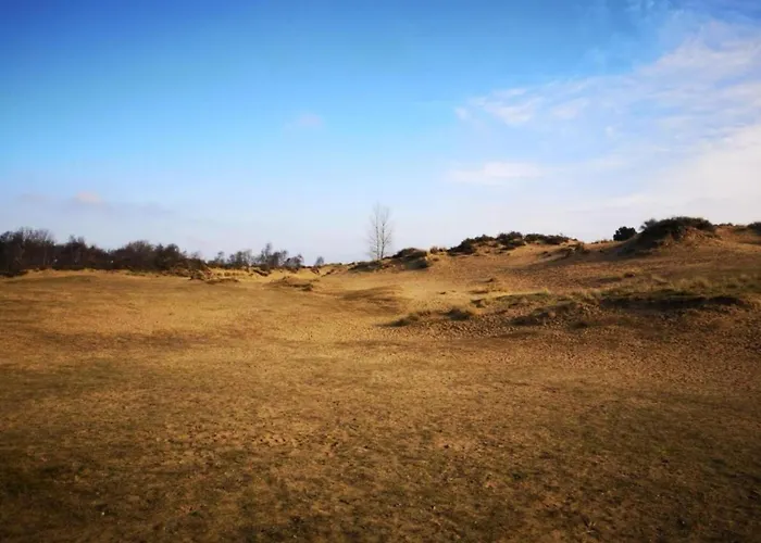 By Sea And Dunes With Terrace Appartamento