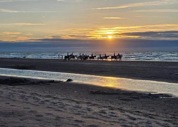 By Sea And Dunes With Terrace